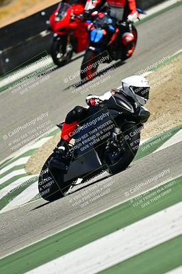 media/Oct-25-2025-2WTD (Sat) [[1e4a1f2fa2]]/B Group/Session 5 (Turn 2)/